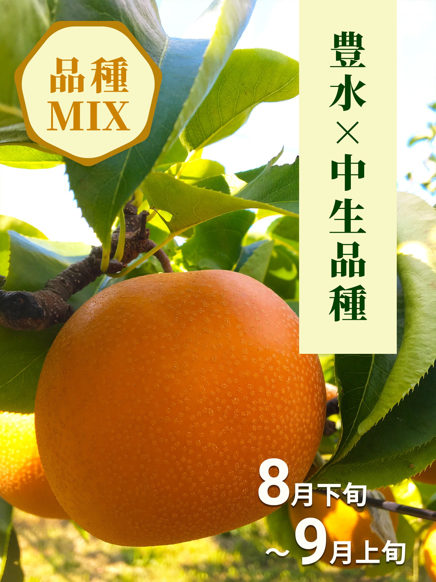 90000円値引き!・超細密肉筆植物画ハマナス(浜梨) 110000円値引き!・超細密肉筆植物画ハマナス(浜梨) - メルカリ